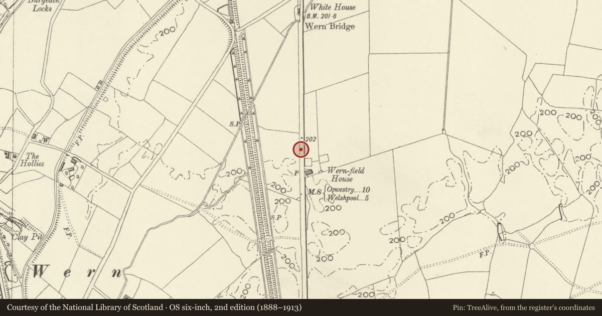 Ordnance Survey six-inch map, 2nd edition (1888–1913) covering the location of Milestone at Roadside NW of Wernfield House, Llandrinio, Powys, with a pin at the register's coordinates