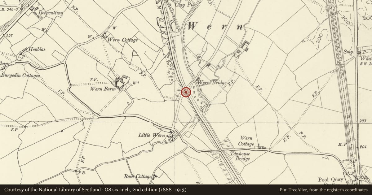 Ordnance Survey six-inch map, 2nd edition (1888–1913) covering the location of Wern Bridge, Guilsfield, Powys, with a pin at the register's coordinates