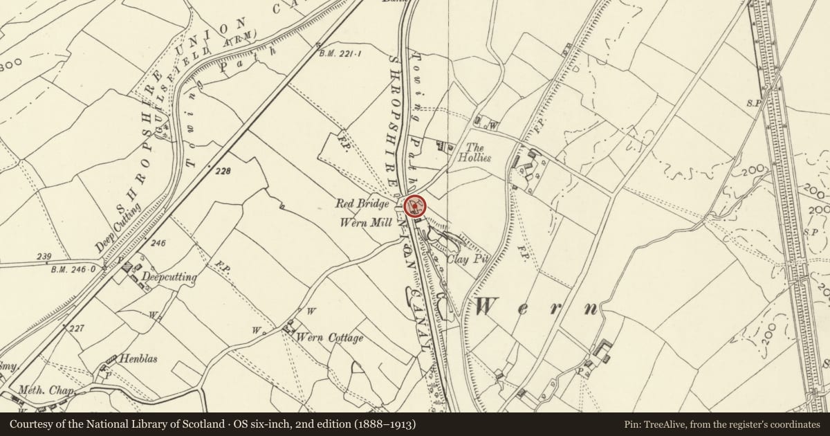 Ordnance Survey six-inch map, 2nd edition (1888–1913) covering the location of Wern Outfall Weir, Wern Mill, Llandrinio, Powys, with a pin at the register's coordinates