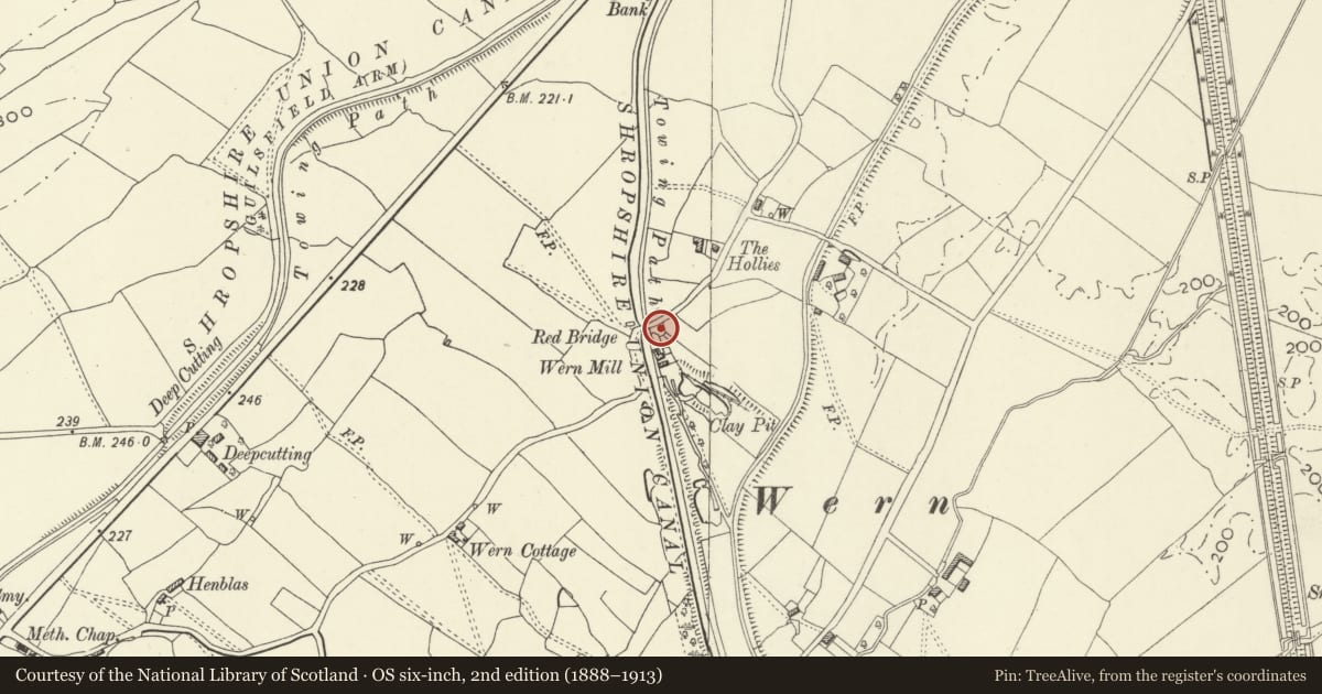 Ordnance Survey six-inch map, 2nd edition (1888–1913) covering the location of Land Owership Marker Post, Wern Mill, Llandrinio, Powys, with a pin at the register's coordinates