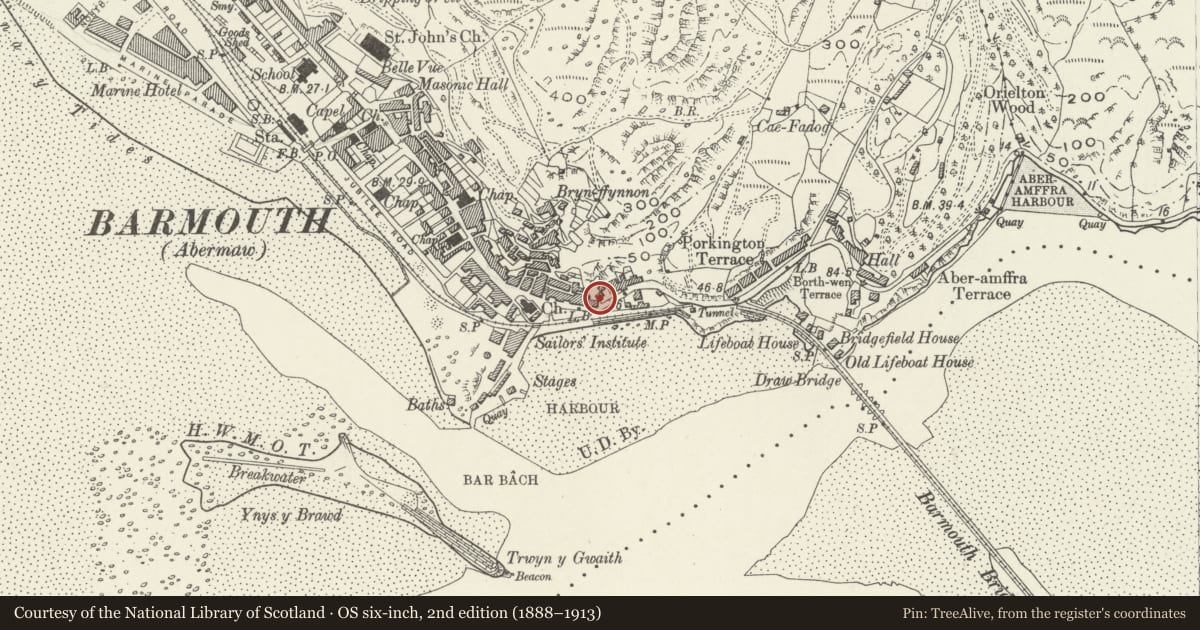 Ordnance Survey six-inch map, 2nd edition (1888–1913) covering the location of Graig Fach, Barmouth, Gwynedd, with a pin at the register's coordinates