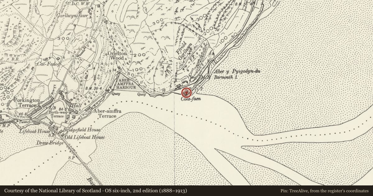 Ordnance Survey six-inch map, 2nd edition (1888–1913) covering the location of The Clock House, Barmouth, Gwynedd, with a pin at the register's coordinates