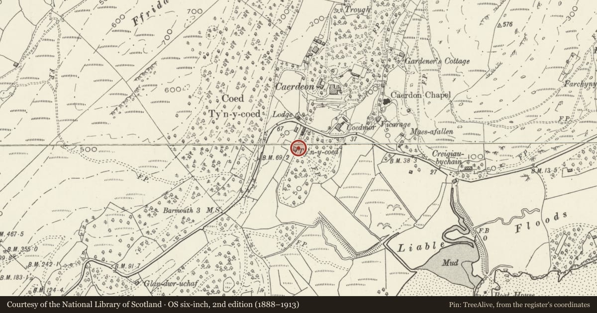 Ordnance Survey six-inch map, 2nd edition (1888–1913) covering the location of Tyn-y-Coed Farmhouse, Barmouth, Gwynedd, with a pin at the register's coordinates