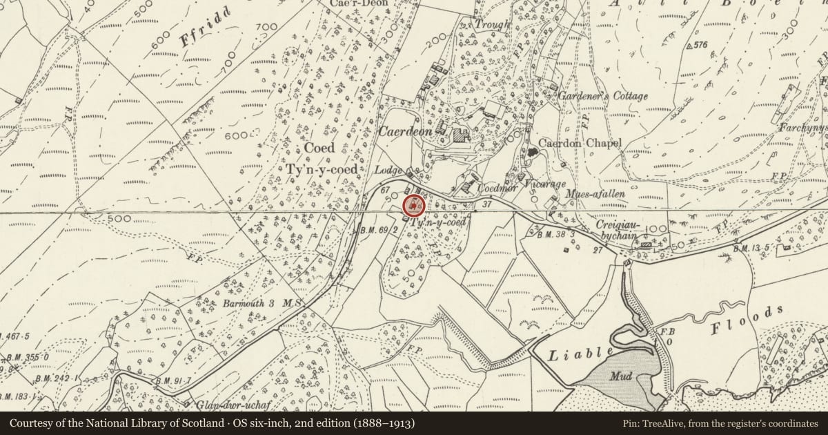Ordnance Survey six-inch map, 2nd edition (1888–1913) covering the location of Stable Block at Tyn-y-Coed, Barmouth, Gwynedd, with a pin at the register's coordinates