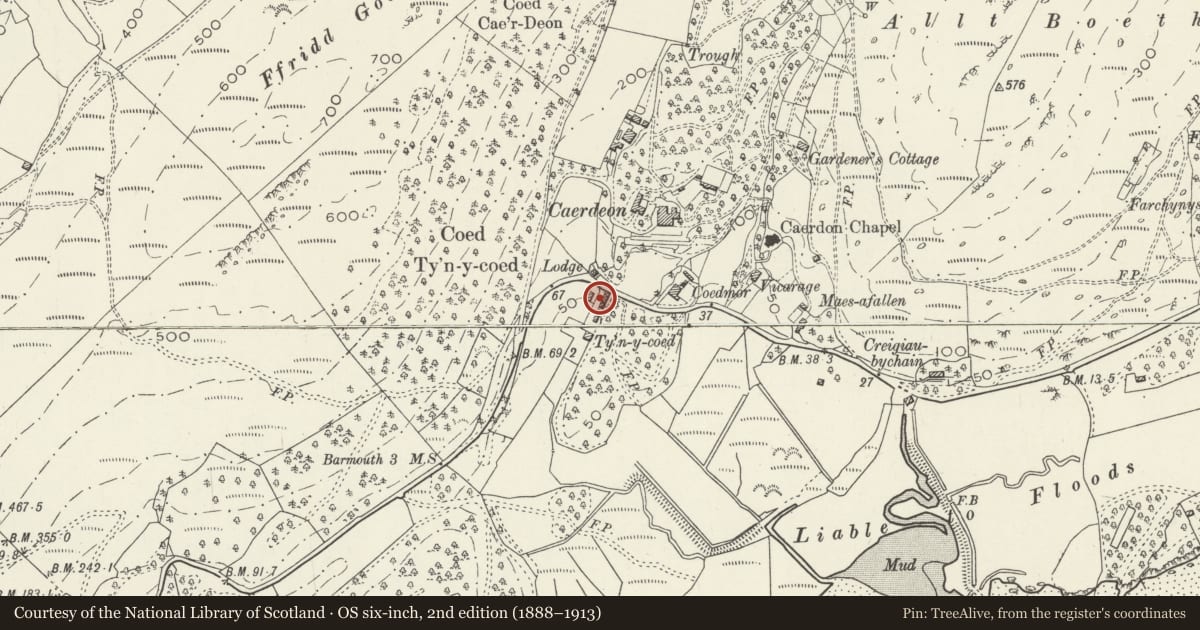 Ordnance Survey six-inch map, 2nd edition (1888–1913) covering the location of Rubble Forecourt Walls and Gates at Tyn y Coed, Barmouth, Gwynedd, with a pin at the register's coordinates