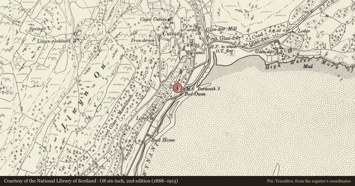 Ordnance Survey six-inch map, 2nd edition (1888–1913) covering the location of Bodowen, Barmouth, Gwynedd, with a pin at the register's coordinates