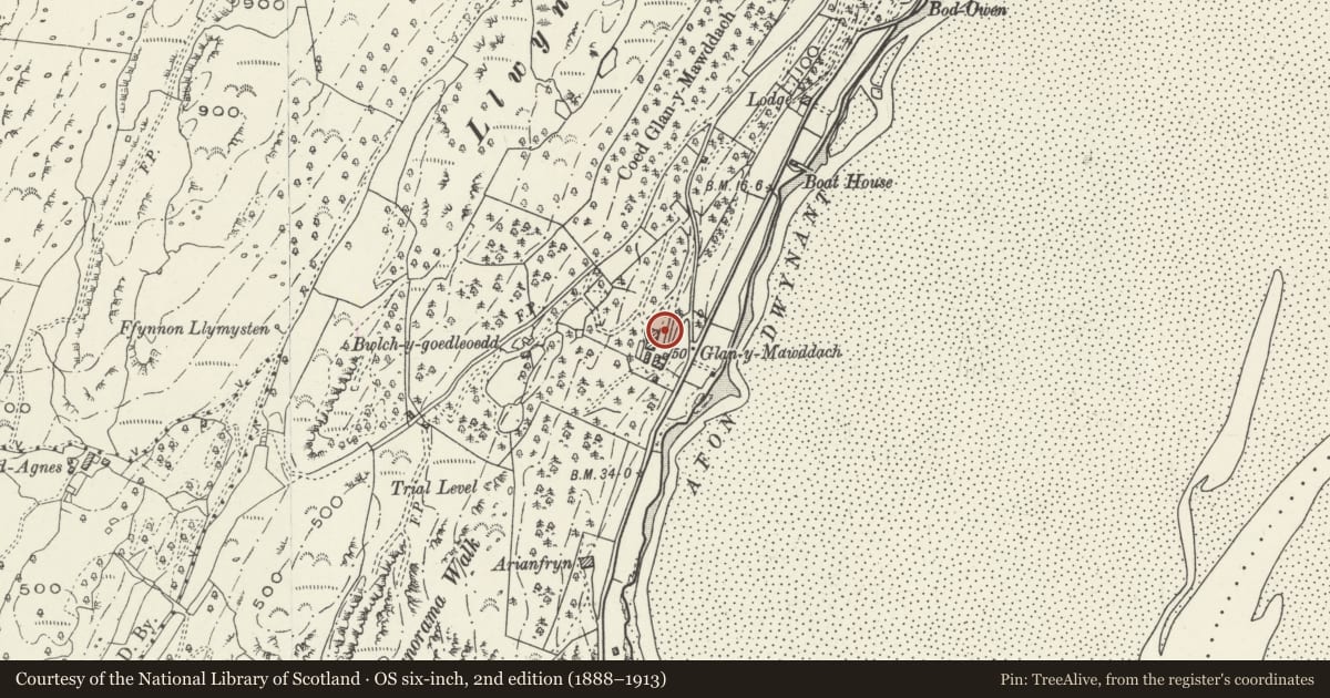 Ordnance Survey six-inch map, 2nd edition (1888–1913) covering the location of Adjoining raised Terrace to Eof Glan-y-Mawddach, Barmouth, Gwynedd, with a pin at the register's coordinates