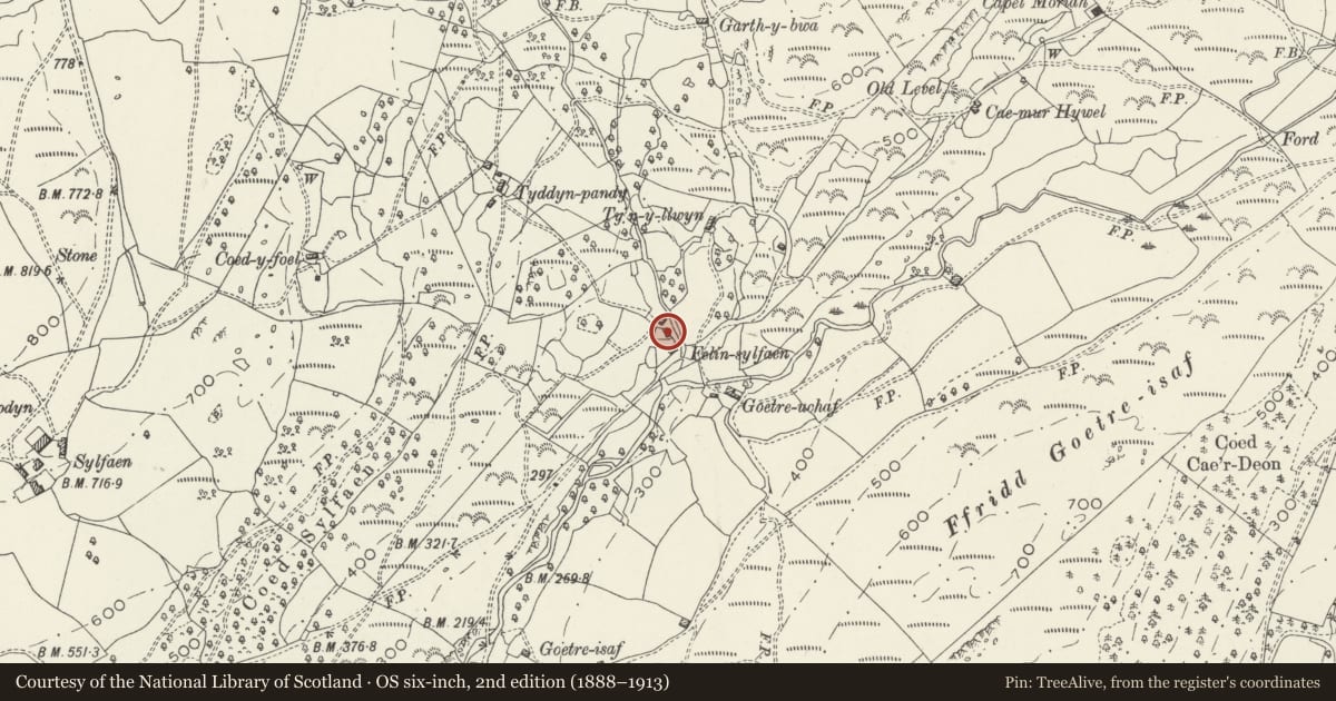 Ordnance Survey six-inch map, 2nd edition (1888–1913) covering the location of Corn Drying House at Felin Sylfaen, Barmouth, Gwynedd, with a pin at the register's coordinates