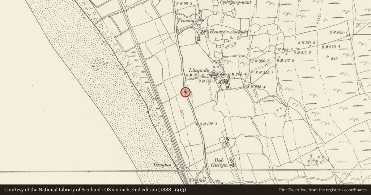 Ordnance Survey six-inch map, 2nd edition (1888–1913) covering the location of Milepost, Barmouth, Gwynedd, with a pin at the register's coordinates