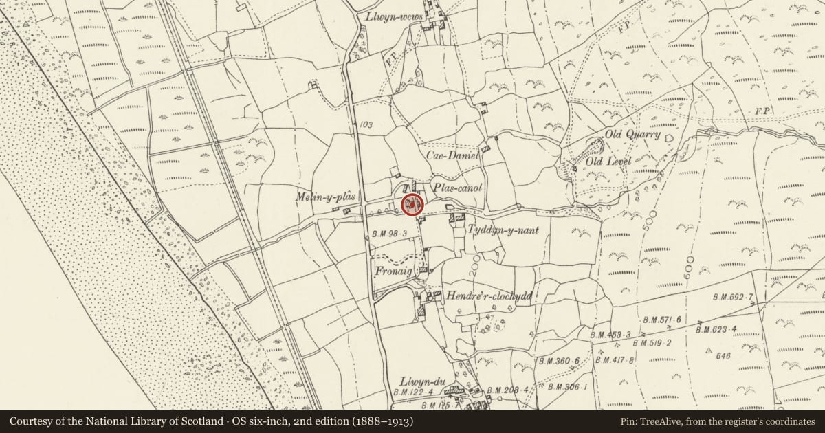 Ordnance Survey six-inch map, 2nd edition (1888–1913) covering the location of Plas Canol, Barmouth, Gwynedd, with a pin at the register's coordinates