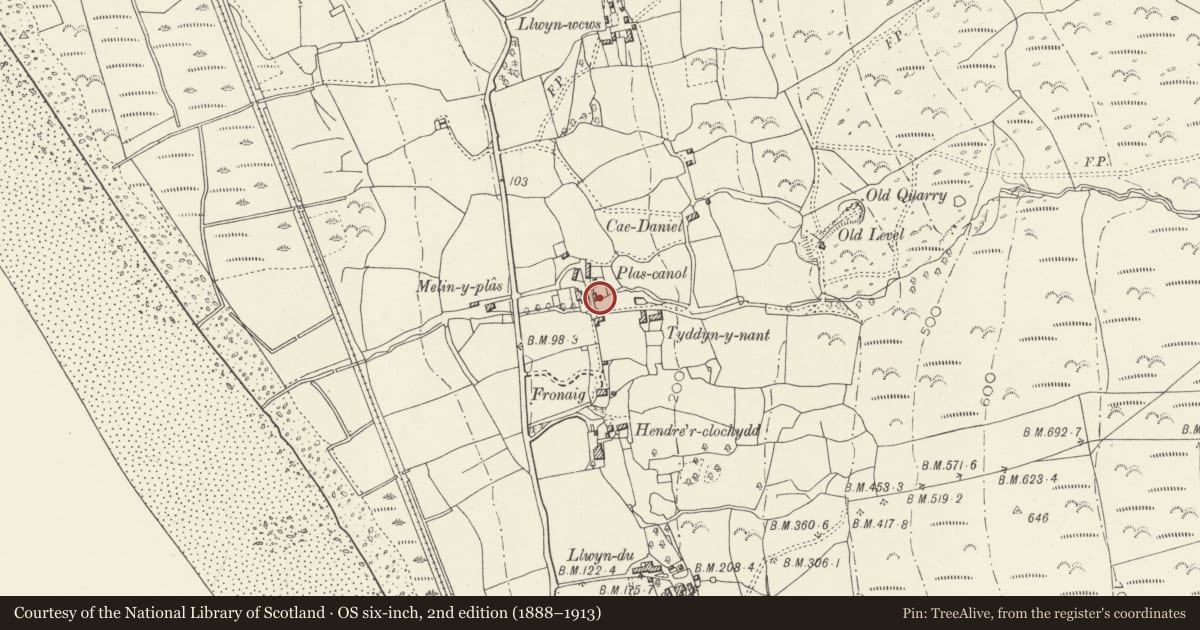 Ordnance Survey six-inch map, 2nd edition (1888–1913) covering the location of Secondary House at Plas Canol ('The Bothy'), Barmouth, Gwynedd, with a pin at the register's coordinates