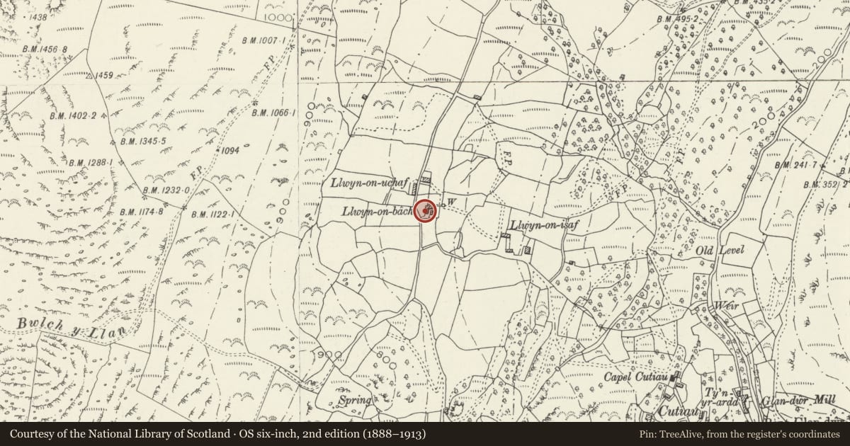 Ordnance Survey six-inch map, 2nd edition (1888–1913) covering the location of Llwyn Onn Bach Farmhouse, Barmouth, Gwynedd, with a pin at the register's coordinates