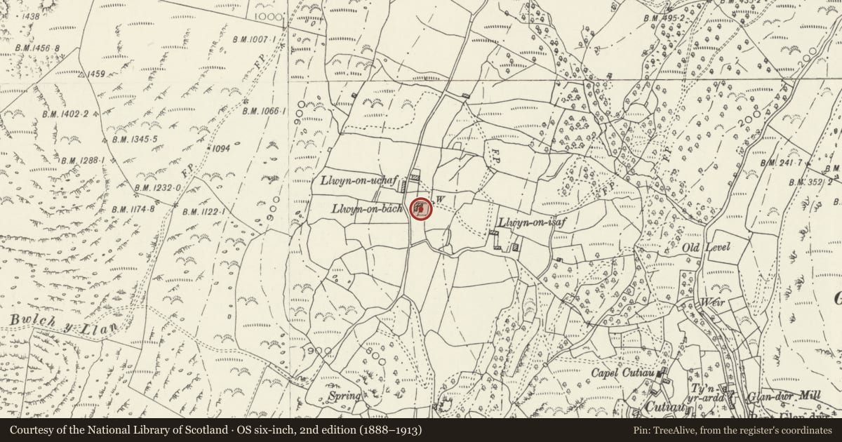 Ordnance Survey six-inch map, 2nd edition (1888–1913) covering the location of Stables/Cartshed at Llwyn Bach, Barmouth, Gwynedd, with a pin at the register's coordinates