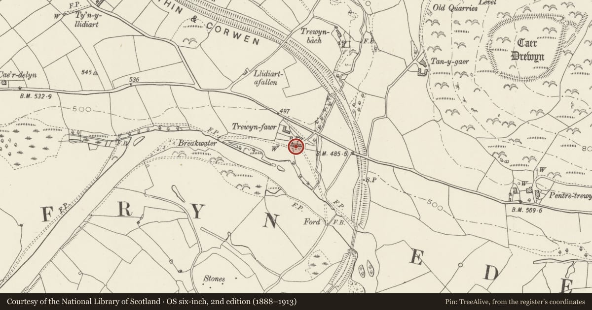 Ordnance Survey six-inch map, 2nd edition (1888–1913) covering the location of Farmbuildings at Trewyn Fawr, Corwen, Denbighshire, with a pin at the register's coordinates