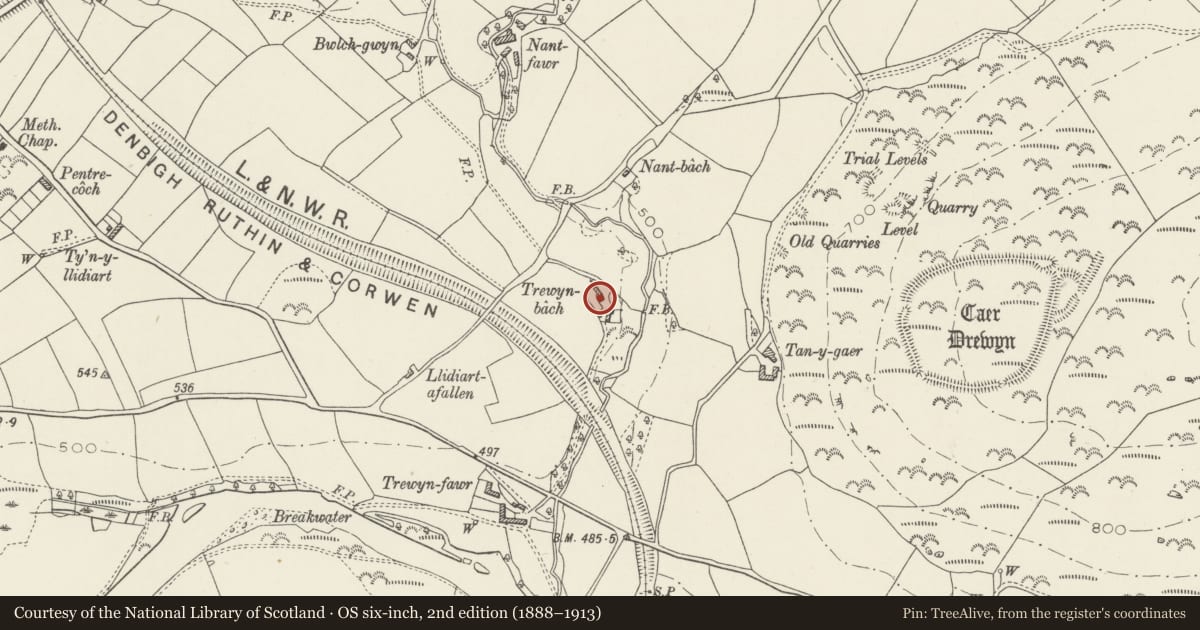Ordnance Survey six-inch map, 2nd edition (1888–1913) covering the location of Trewyn Bach B5347 (Ne Side), Corwen, Denbighshire, with a pin at the register's coordinates