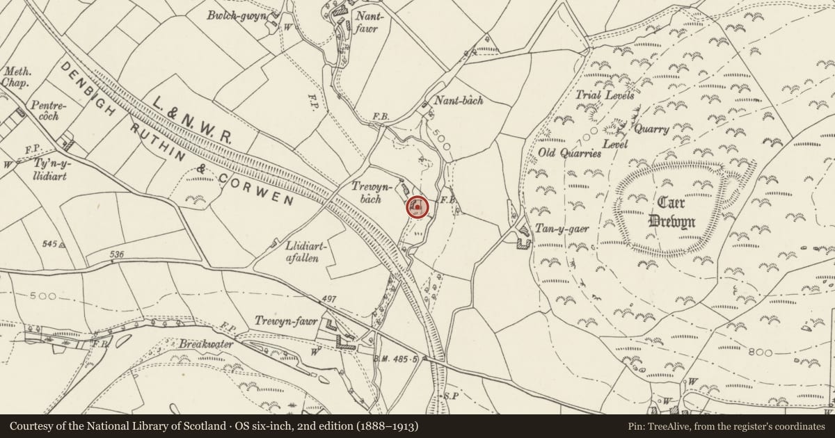 Ordnance Survey six-inch map, 2nd edition (1888–1913) covering the location of Detached Farmbuilding at Trewyn Bach, Corwen, Denbighshire, with a pin at the register's coordinates
