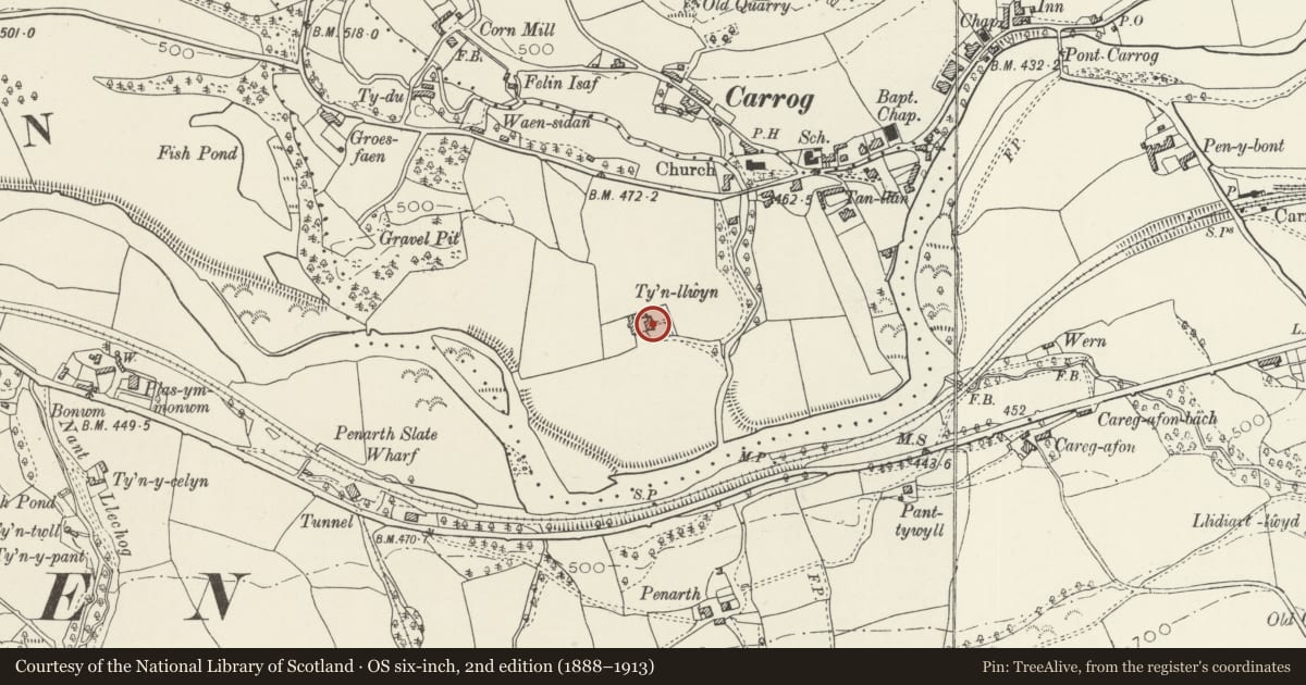 Ordnance Survey six-inch map, 2nd edition (1888–1913) covering the location of Ty'n-Llwyn Farmhouse, Corwen, Denbighshire, with a pin at the register's coordinates