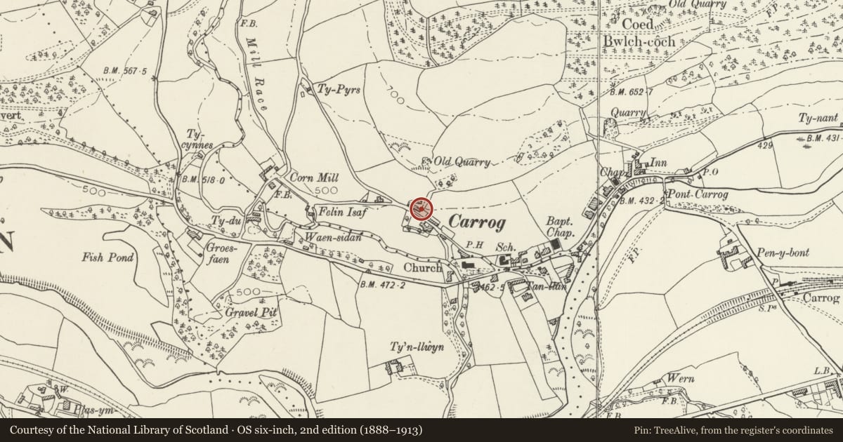 Ordnance Survey six-inch map, 2nd edition (1888–1913) covering the location of Llan House, Corwen, Denbighshire, with a pin at the register's coordinates