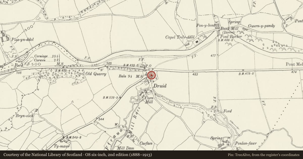 Ordnance Survey six-inch map, 2nd edition (1888–1913) covering the location of The Druids, Corwen, Denbighshire, with a pin at the register's coordinates