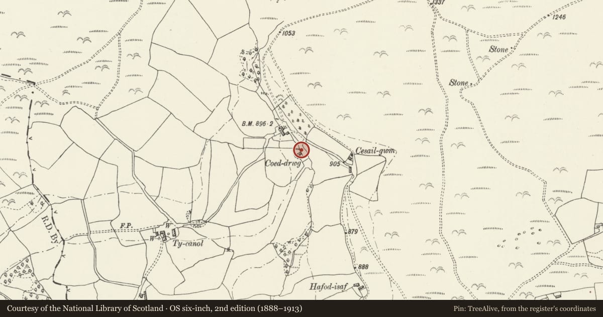 Ordnance Survey six-inch map, 2nd edition (1888–1913) covering the location of Coedrwg Isaf, Corwen, Denbighshire, with a pin at the register's coordinates