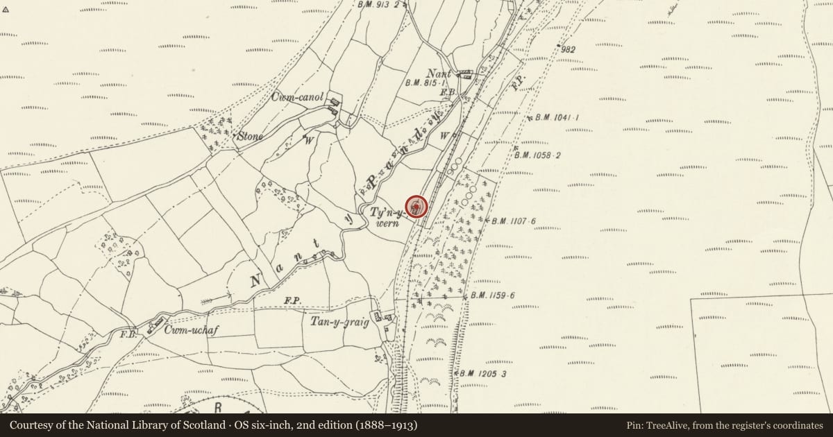 Ordnance Survey six-inch map, 2nd edition (1888–1913) covering the location of Tyn-y-Wern, Corwen, Denbighshire, with a pin at the register's coordinates