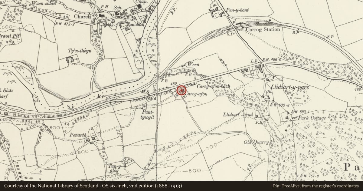 Ordnance Survey six-inch map, 2nd edition (1888–1913) covering the location of Carreg Afon Farmhouse, Corwen, Denbighshire, with a pin at the register's coordinates