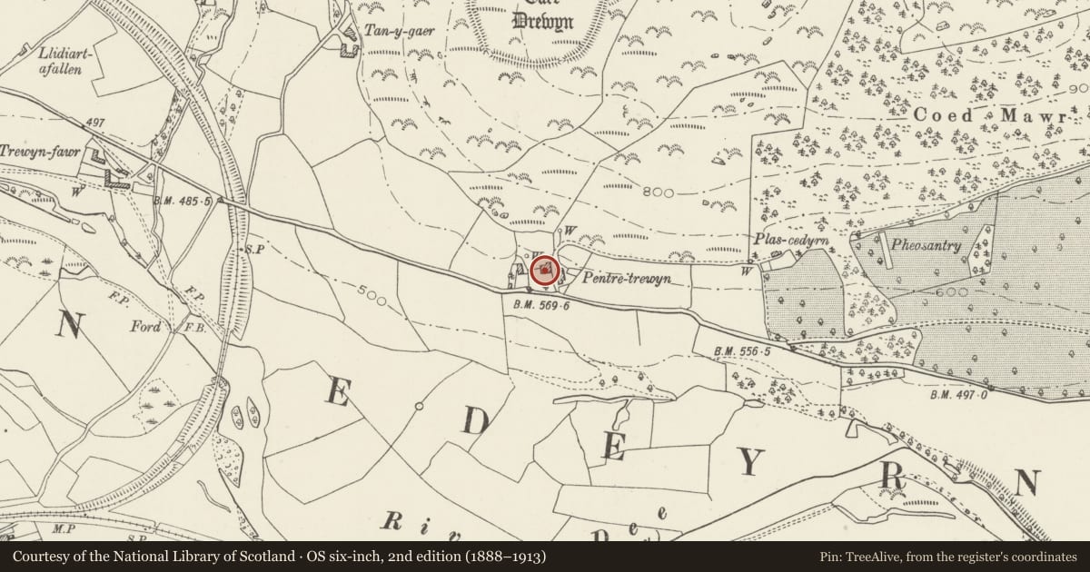 Ordnance Survey six-inch map, 2nd edition (1888–1913) covering the location of Pentre-Trewyn Farmhouse, Corwen, Denbighshire, with a pin at the register's coordinates
