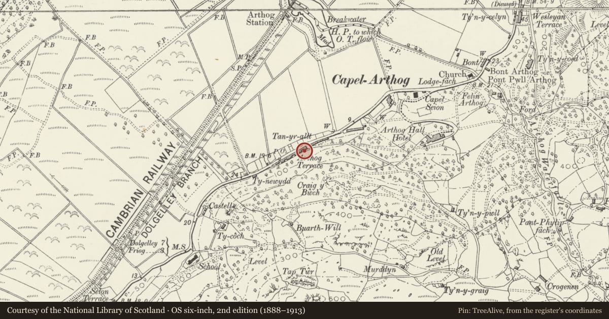 Ordnance Survey six-inch map, 2nd edition (1888–1913) covering the location of 3 Arthog Terrace, Gwynedd, with a pin at the register's coordinates