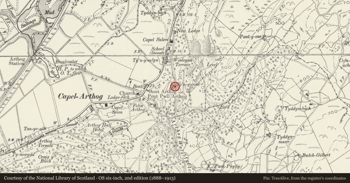 Ordnance Survey six-inch map, 2nd edition (1888–1913) covering the location of Ty'n-y-Coed, Arthog, Gwynedd, with a pin at the register's coordinates