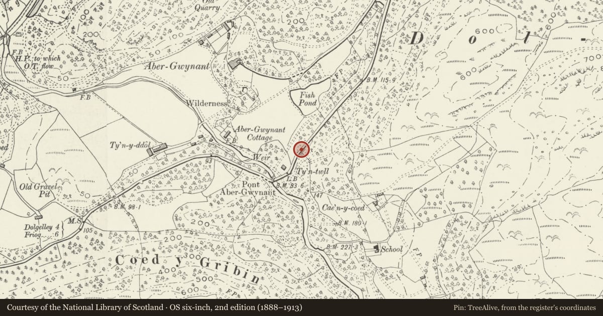 Ordnance Survey six-inch map, 2nd edition (1888–1913) covering the location of Milepost, Arthog, Gwynedd, with a pin at the register's coordinates