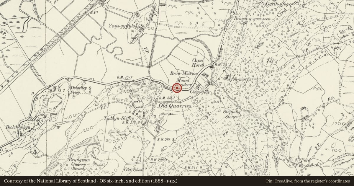 Ordnance Survey six-inch map, 2nd edition (1888–1913) covering the location of Milepost, Arthog, Gwynedd, with a pin at the register's coordinates