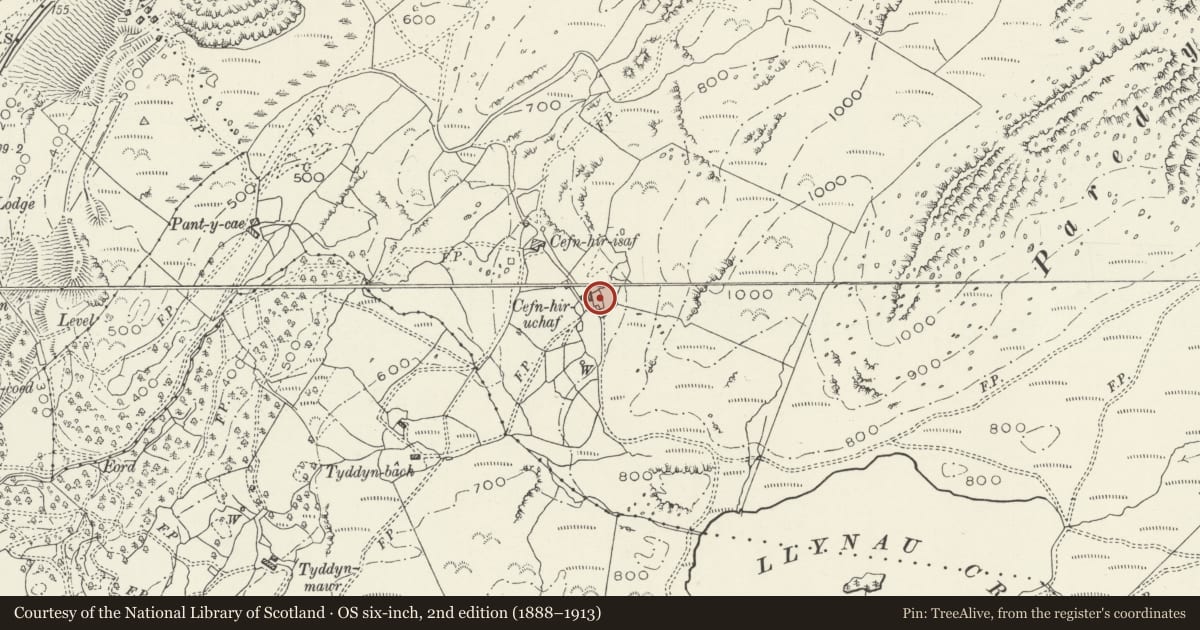 Ordnance Survey six-inch map, 2nd edition (1888–1913) covering the location of Cefn-Hir-Uchaf, Arthog, Gwynedd, with a pin at the register's coordinates