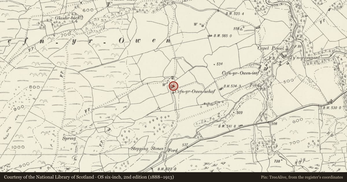 Ordnance Survey six-inch map, 2nd edition (1888–1913) covering the location of Former Farmhouse at Cefn-yr-Own-Uchaf, Arthog, Gwynedd, with a pin at the register's coordinates
