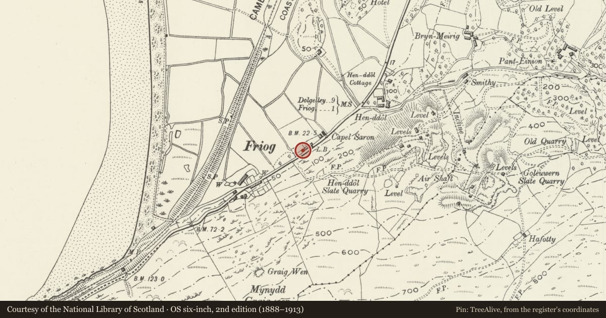 Ordnance Survey six-inch map, 2nd edition (1888–1913) covering the location of New Inn, Arthog, Gwynedd, with a pin at the register's coordinates