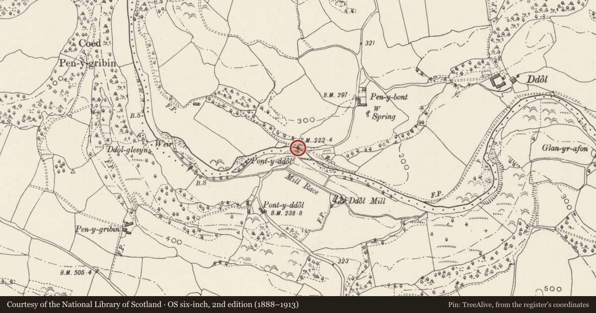 Ordnance Survey six-inch map, 2nd edition (1888–1913) covering the location of Pont y Ddol (partly in Llannefydd community), Cefnmeiriadog, Denbighshire, with a pin at the register's coordinates