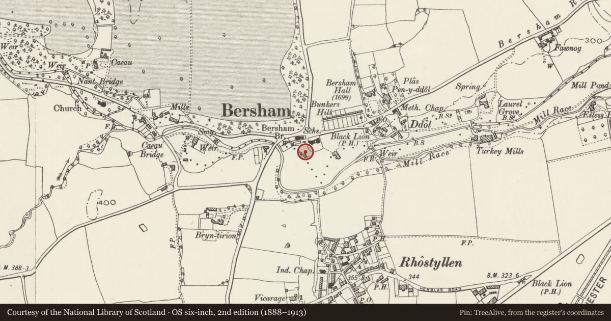 Ordnance Survey six-inch map, 2nd edition (1888–1913) covering the location of Squires Cottage, Esclusham, Wrexham, with a pin at the register's coordinates