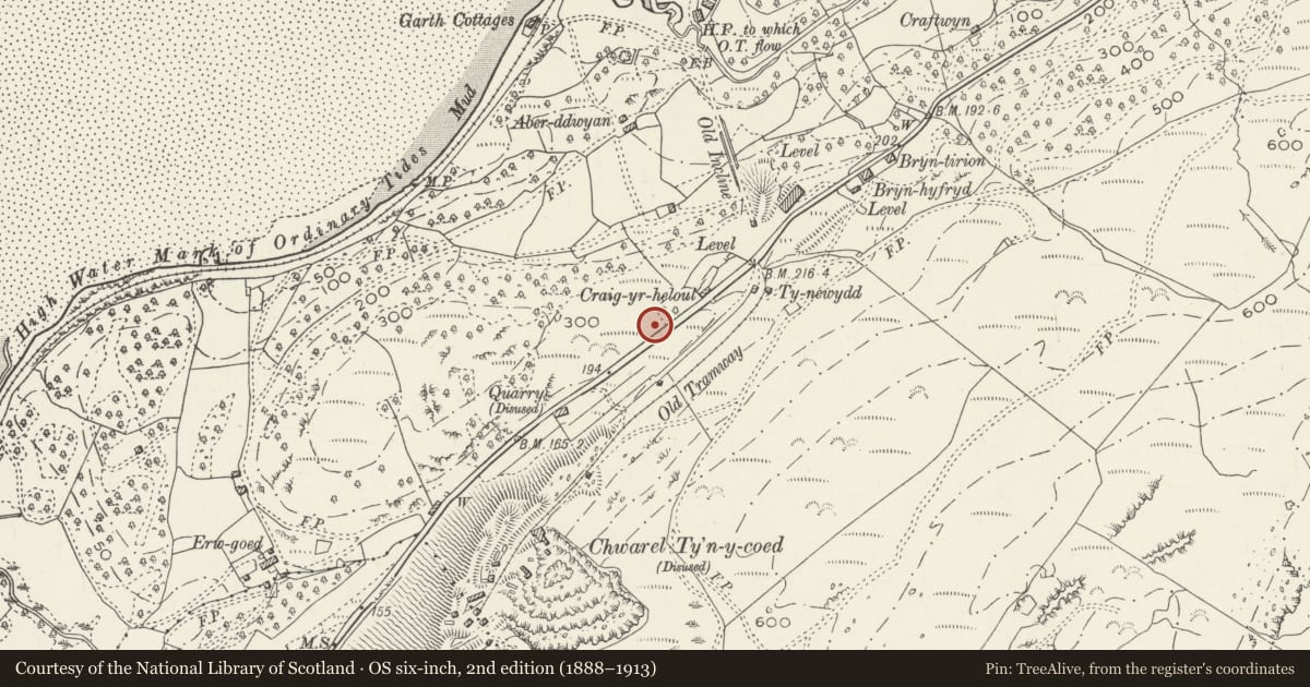 Ordnance Survey six-inch map, 2nd edition (1888–1913) covering the location of Milepost, Arthog, Gwynedd, with a pin at the register's coordinates