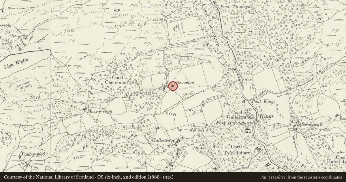 Ordnance Survey six-inch map, 2nd edition (1888–1913) covering the location of Barn at Cae Einion, Arthog, Gwynedd, with a pin at the register's coordinates