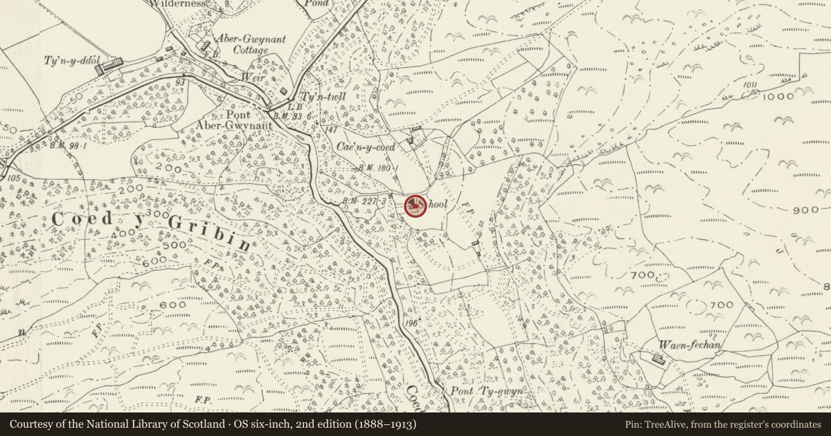Ordnance Survey six-inch map, 2nd edition (1888–1913) covering the location of Ty'r Ysgol, Arthog, Gwynedd, with a pin at the register's coordinates