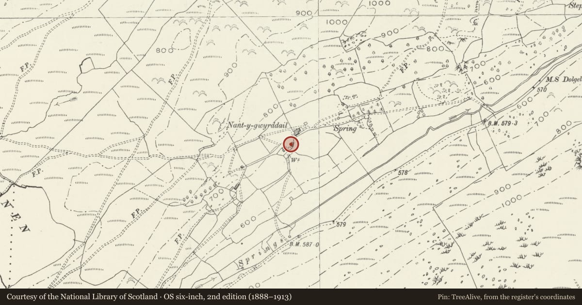 Ordnance Survey six-inch map, 2nd edition (1888–1913) covering the location of Stable Block at Nant-y-Gwyrddail, Arthog, Gwynedd, with a pin at the register's coordinates