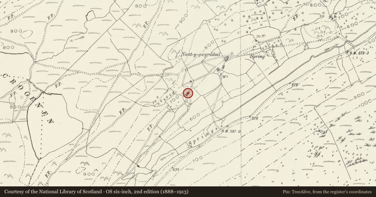 Ordnance Survey six-inch map, 2nd edition (1888–1913) covering the location of Nant-y-Gwyrddail Bach, Arthog, Gwynedd, with a pin at the register's coordinates