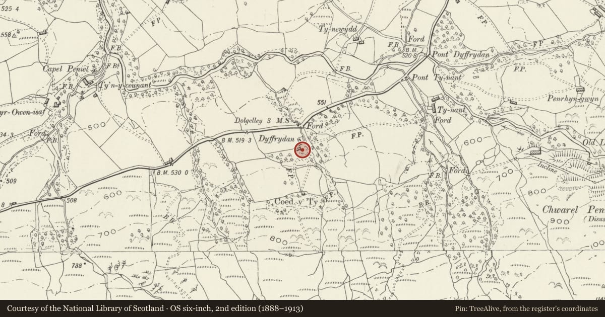 Ordnance Survey six-inch map, 2nd edition (1888–1913) covering the location of Dyffrydan, Arthog, Gwynedd, with a pin at the register's coordinates