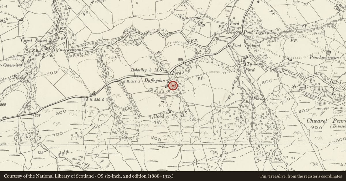 Ordnance Survey six-inch map, 2nd edition (1888–1913) covering the location of Water Wheel at Dyffrydan, Arthog, Gwynedd, with a pin at the register's coordinates