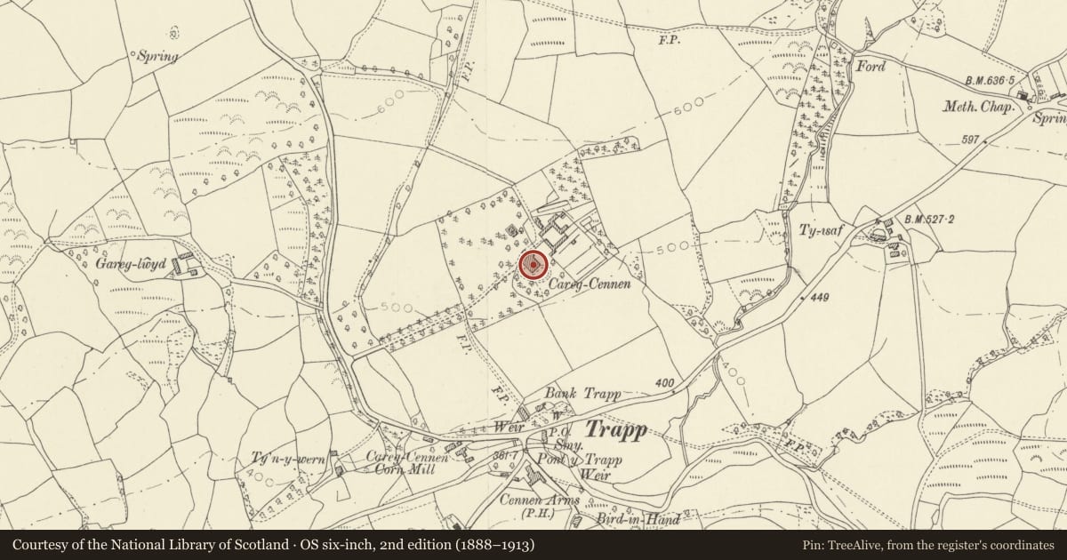 Ordnance Survey six-inch map, 2nd edition (1888–1913) covering the location of Carreg Cennen House, Dyffryn Cennen, Carmarthenshire, with a pin at the register's coordinates