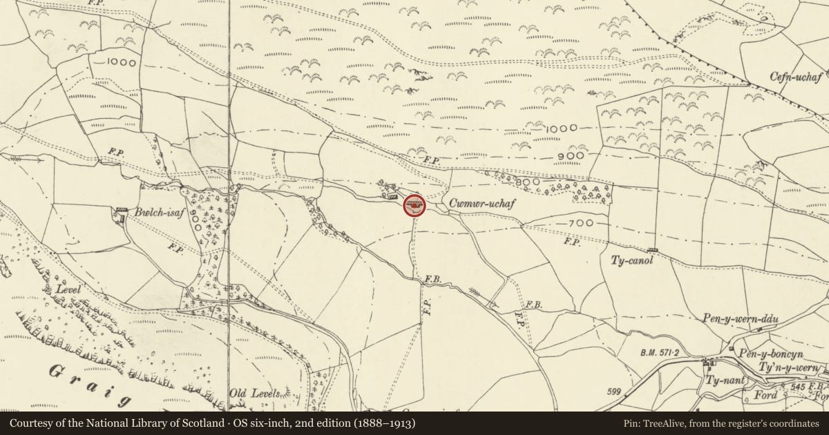 Ordnance Survey six-inch map, 2nd edition (1888–1913) covering the location of Cwmwr-uchaf, Pen-y-bont-Fawr, Powys, with a pin at the register's coordinates
