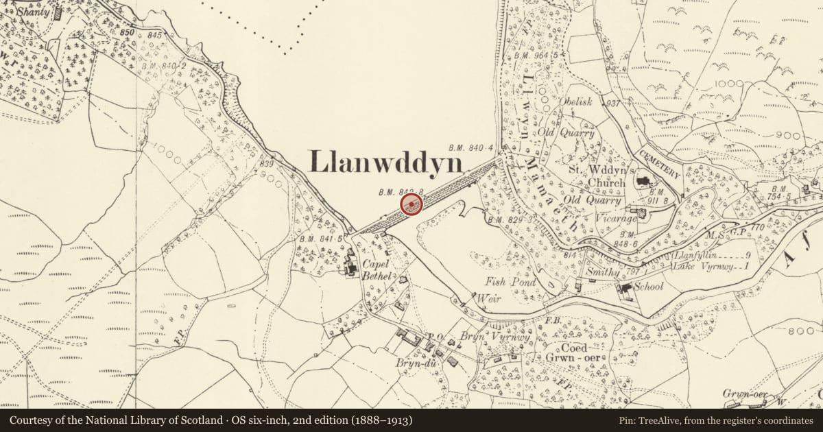 Ordnance Survey six-inch map, 2nd edition (1888–1913) covering the location of Lake Vyrnwy Dam, Llanwddyn, Powys, with a pin at the register's coordinates
