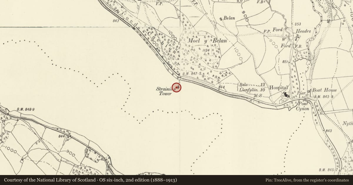 Ordnance Survey six-inch map, 2nd edition (1888–1913) covering the location of Lake Vyrnwy Straining Tower and approach bridge, Llanwddyn, Powys, with a pin at the register's coordinates