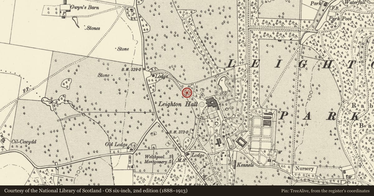 Ordnance Survey six-inch map, 2nd edition (1888–1913) covering the location of Iron Gate and Gate Piers at NW entrance to Leighton Hall, Forden with Leighton and Trelystan, Powys, with a pin at the register's coordinates