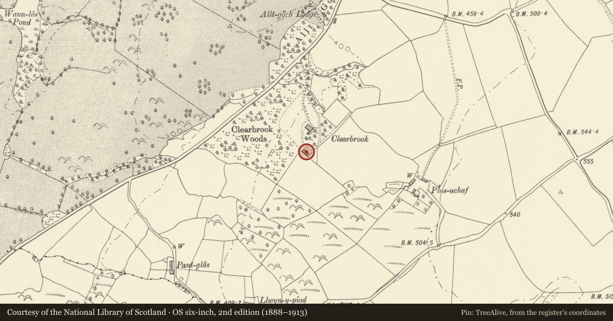 Ordnance Survey six-inch map, 2nd edition (1888–1913) covering the location of Clearbrook Lodge and Meadow Cottage (at Clearbrook), Llanarthney, Carmarthenshire, with a pin at the register's coordinates