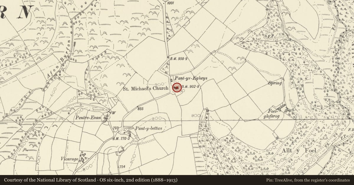 Ordnance Survey six-inch map, 2nd edition (1888–1913) covering the location of Church of St Michael, Llanfihangel Rhos-y-Corn, Carmarthenshire, with a pin at the register's coordinates